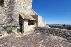 IMG-20250331-WA0286