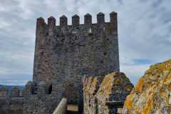 IMG-20250120-WA0147