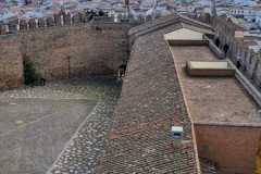 IMG-20250120-WA0148