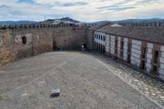 IMG-20250120-WA0149