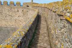 IMG-20250120-WA0151