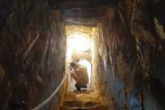 IMG-20250120-WA0159
